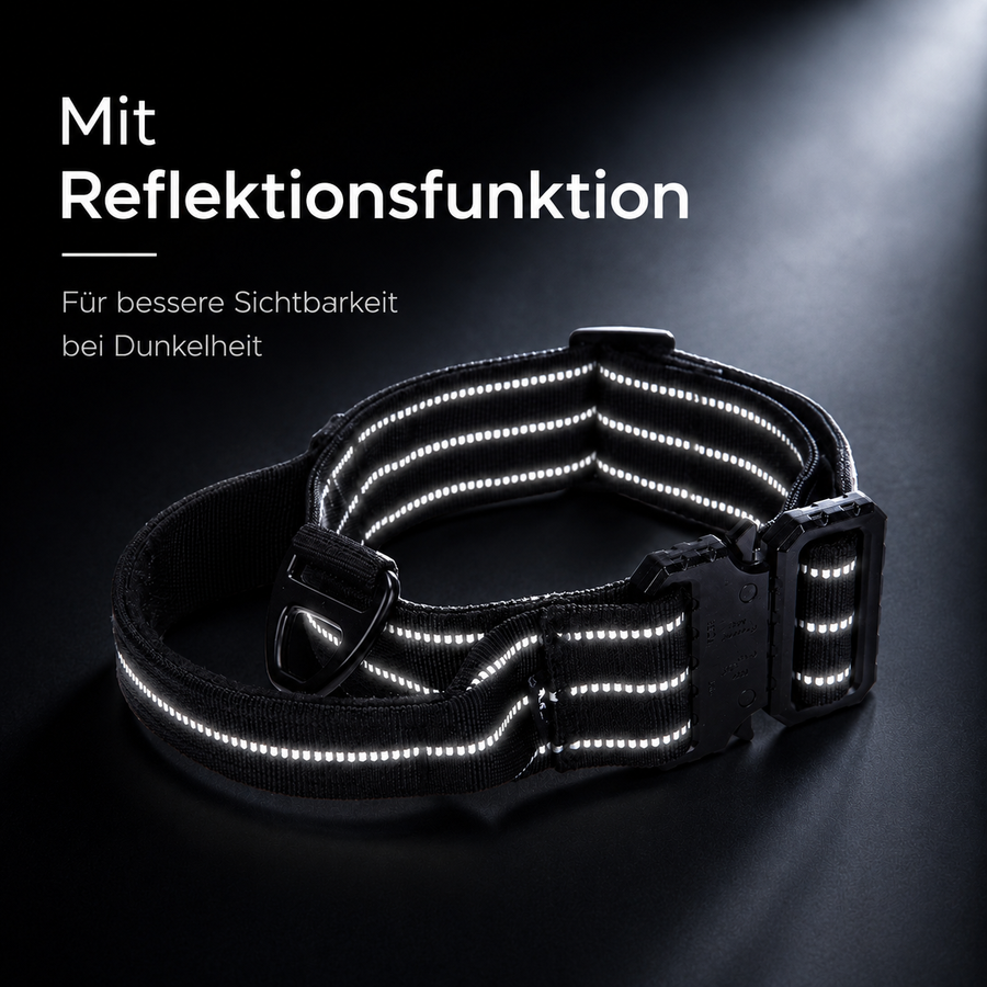 Reflektierendes Hundehalsband mit Schnellverschluss – sicher sichtbar beim Gassi gehen (4)