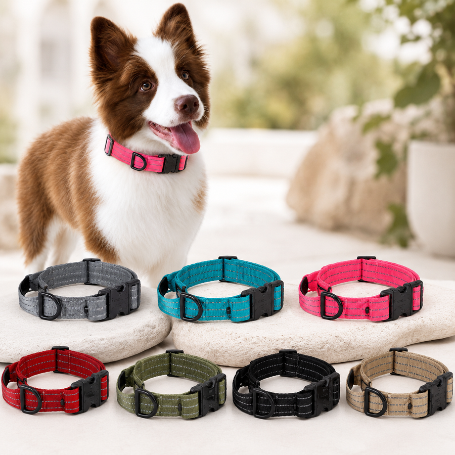 Reflektierendes Hundehalsband mit Schnellverschluss – sicher sichtbar beim Gassi gehen (1)